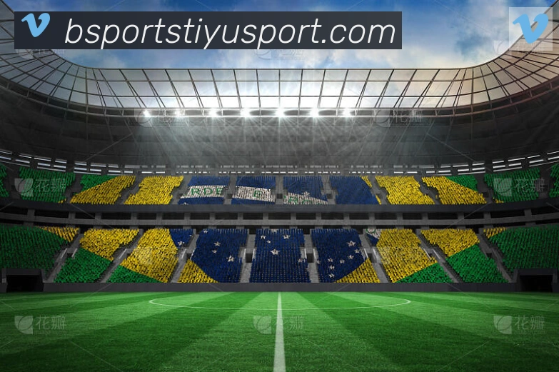 Bsports官网APP 封面图