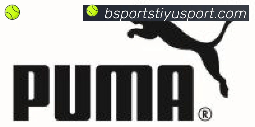 Bsports官网合作伙伴